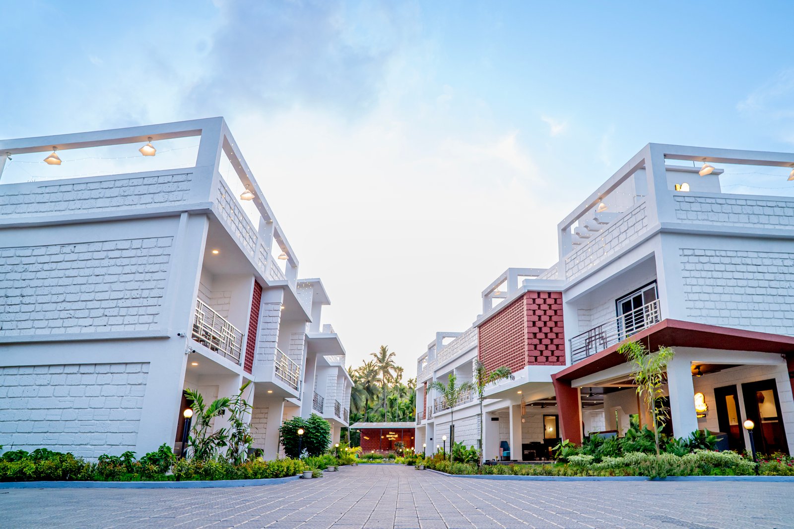 Green Grove